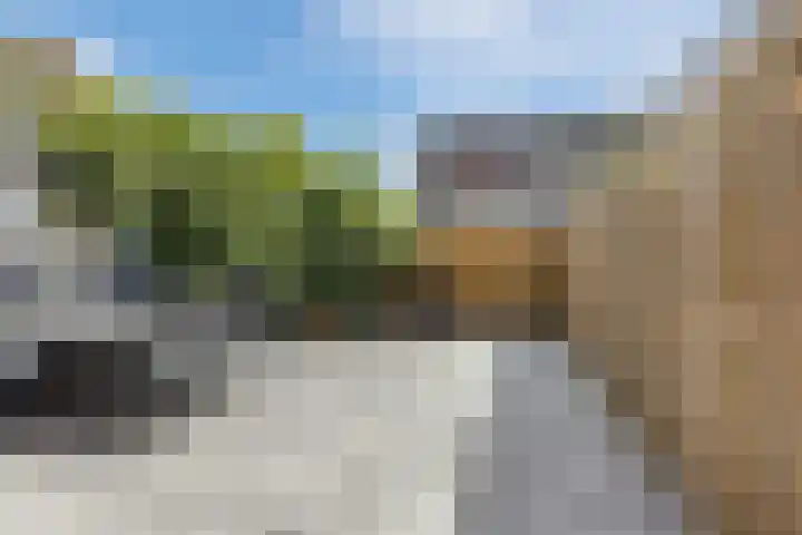 Gele krokus 8 Papendrecht thumbnail 27