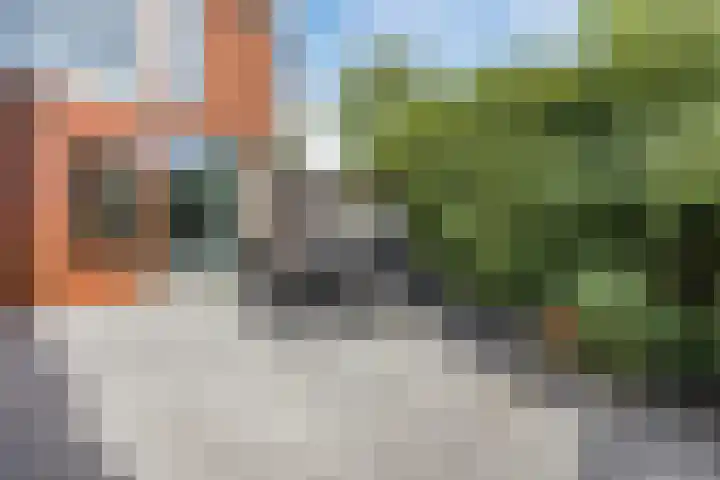 Gele krokus 8 Papendrecht thumbnail 29