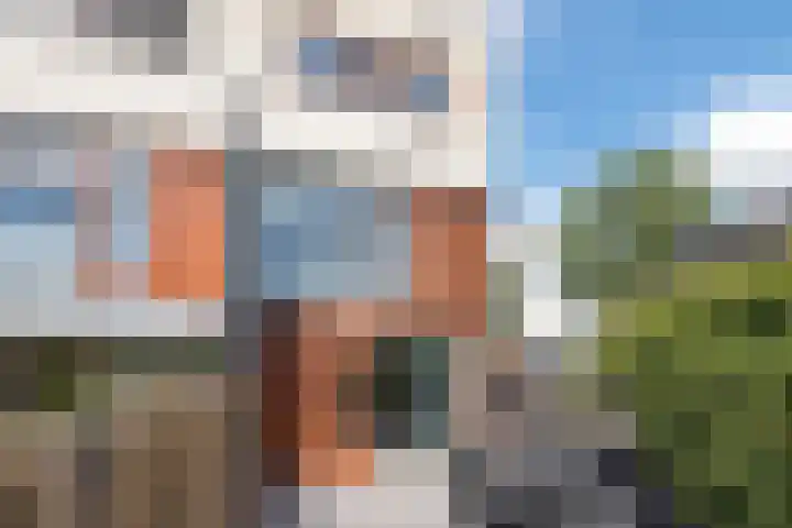 Gele krokus 8 Papendrecht thumbnail 30