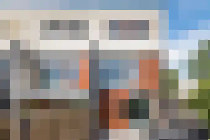 Gele krokus 8 Papendrecht thumbnail 31