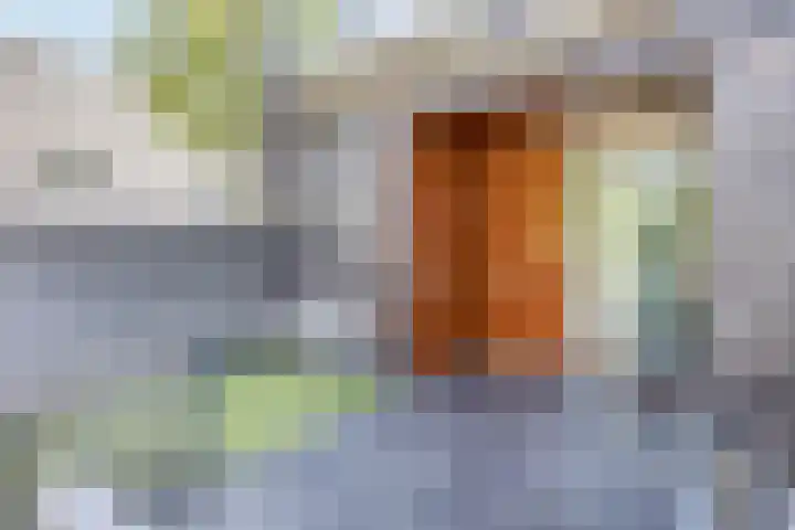 Gele krokus 8 Papendrecht thumbnail 33