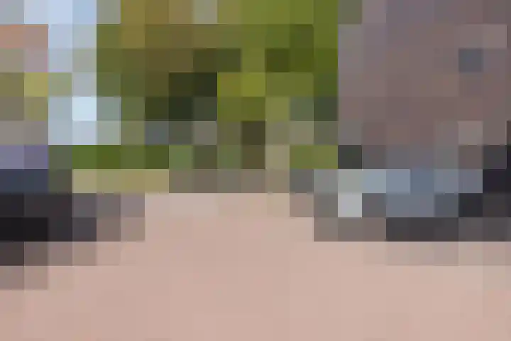 Gele krokus 8 Papendrecht thumbnail 34