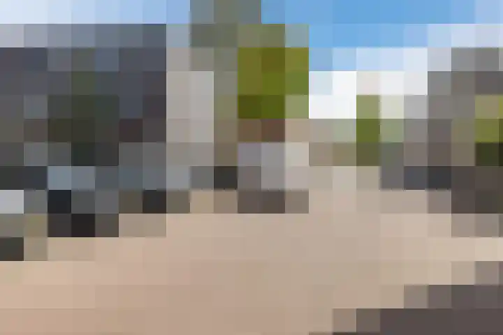 Gele krokus 8 Papendrecht thumbnail 35