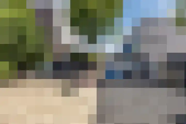 Gele krokus 8 Papendrecht thumbnail 36