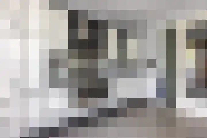 Gele krokus 8 Papendrecht thumbnail 4