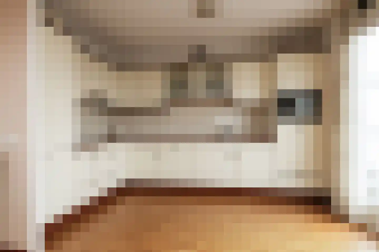 Gele Kwikstaart 63 Kwintsheul thumbnail 15