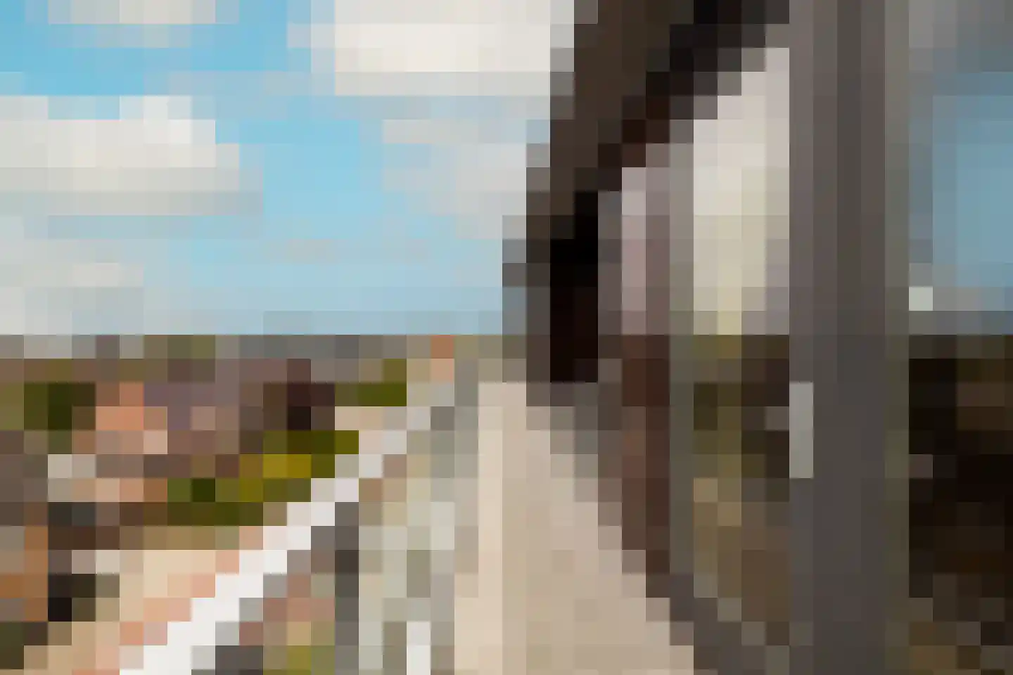 Gele Kwikstaart 63 Kwintsheul thumbnail 18