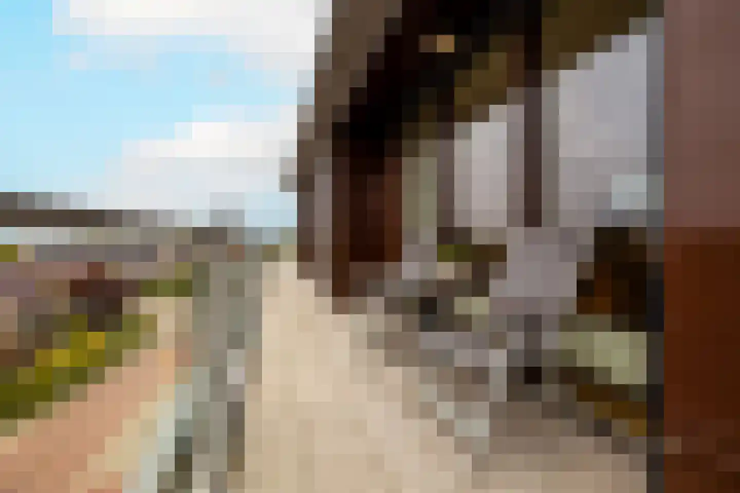 Gele Kwikstaart 63 Kwintsheul thumbnail 19