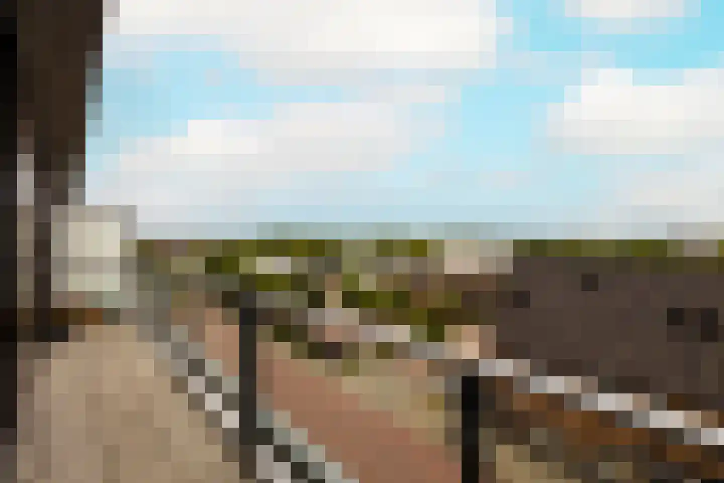 Gele Kwikstaart 63 Kwintsheul thumbnail 20