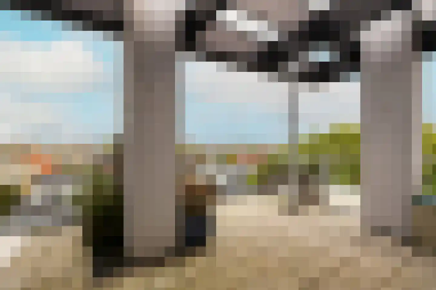 Gele Kwikstaart 63 Kwintsheul thumbnail 22