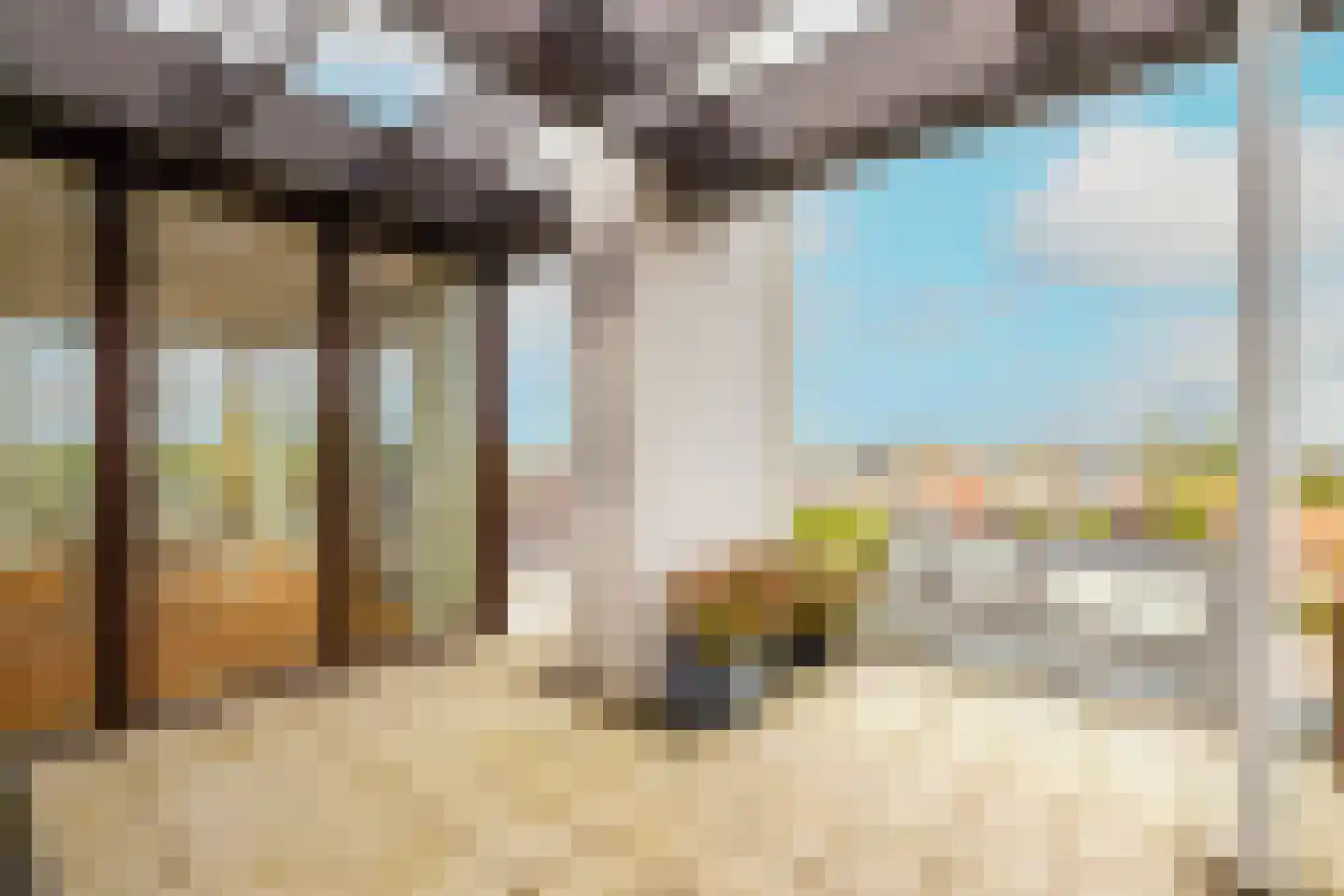 Gele Kwikstaart 63 Kwintsheul thumbnail 23