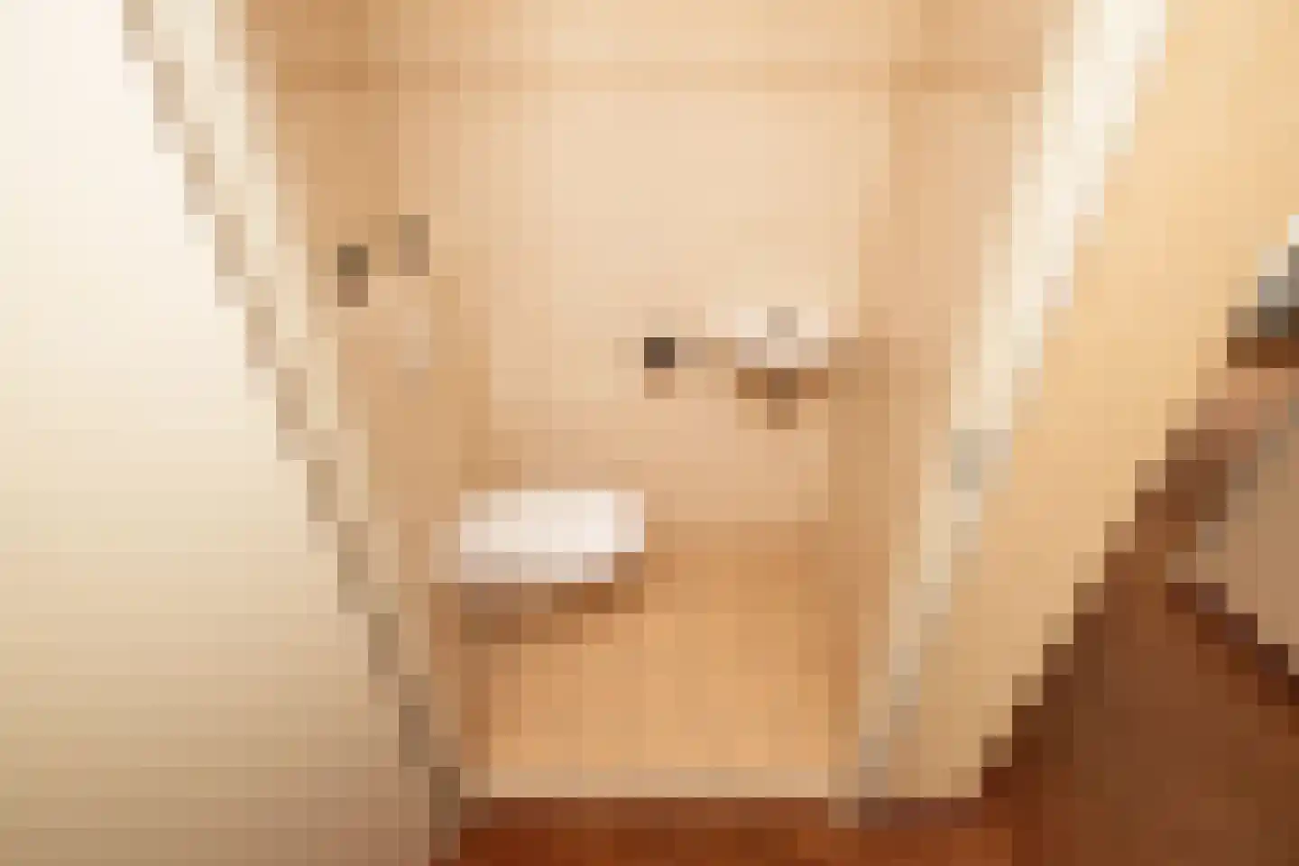 Gele Kwikstaart 63 Kwintsheul thumbnail 32