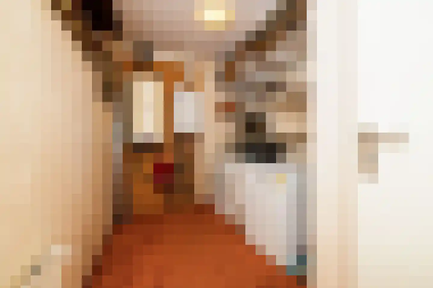 Gele Kwikstaart 63 Kwintsheul thumbnail 33