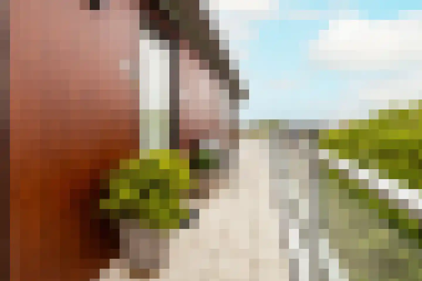 Gele Kwikstaart 63 Kwintsheul thumbnail 6