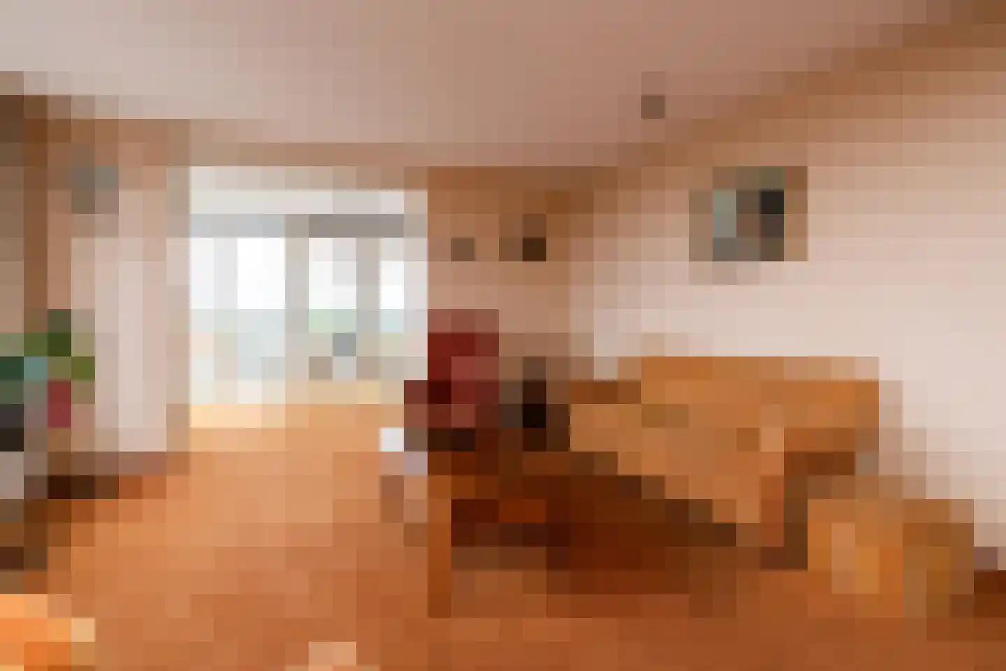Gele Kwikstaart 63 Kwintsheul thumbnail 9