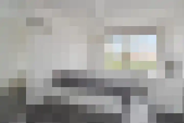 Gele Kwikstaartlande 7 Pijnacker thumbnail 11