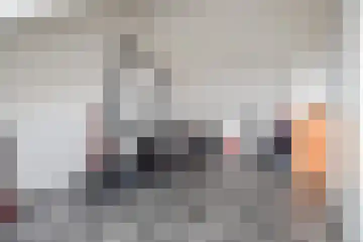 Gele Kwikstaartlande 7 Pijnacker thumbnail 13