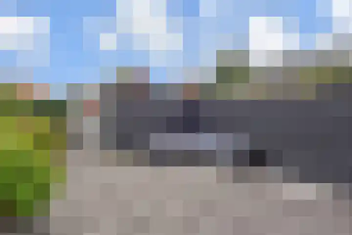 Gele Kwikstaartlande 7 Pijnacker thumbnail 15