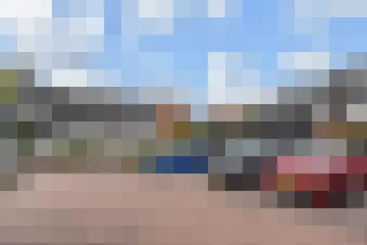 Gele Kwikstaartlande 7 Pijnacker thumbnail 16