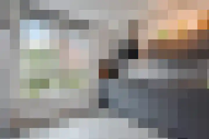 Gele Kwikstaartlande 7 Pijnacker thumbnail 6