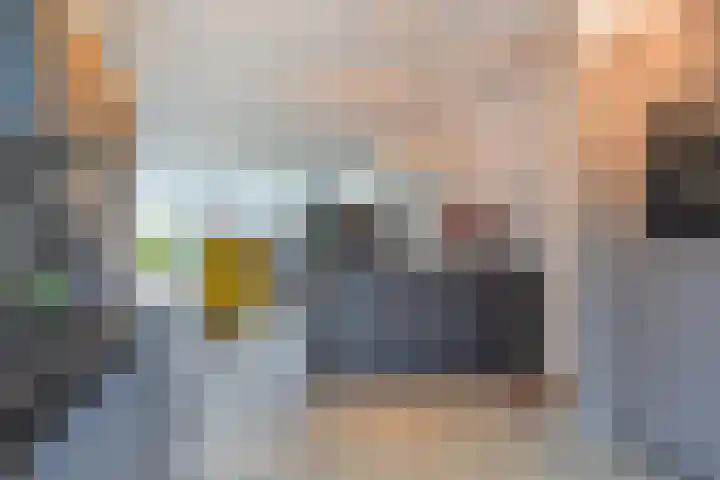 Gele Kwikstaartlande 7 Pijnacker thumbnail 7