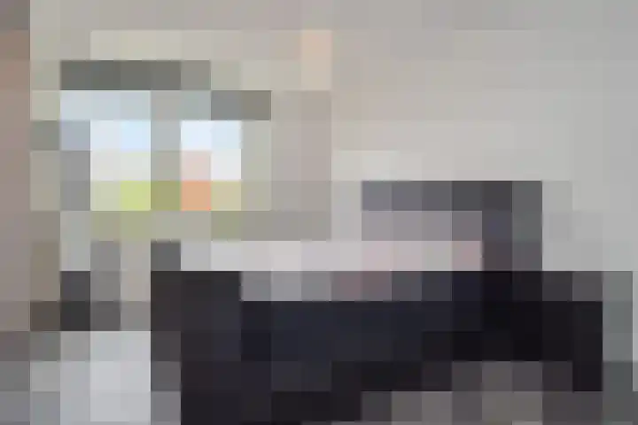 Gele Kwikstaartlande 7 Pijnacker thumbnail 8