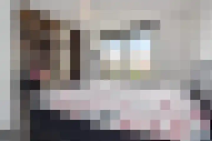 Gele Kwikstaartlande 7 Pijnacker thumbnail 9