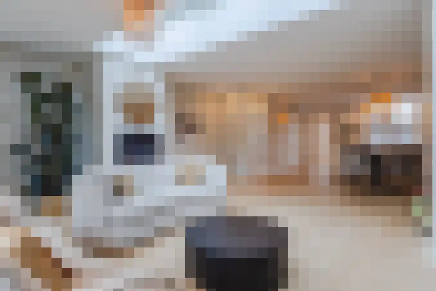 Gele Lis 11 Cuijk thumbnail 11