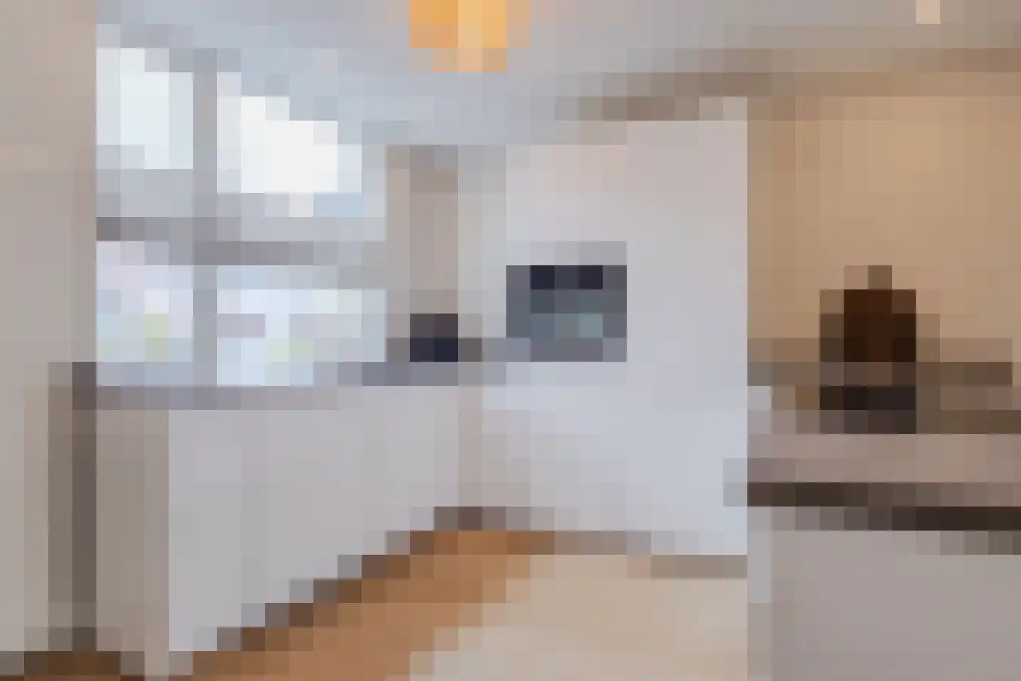 Gele Lis 11 Cuijk thumbnail 13