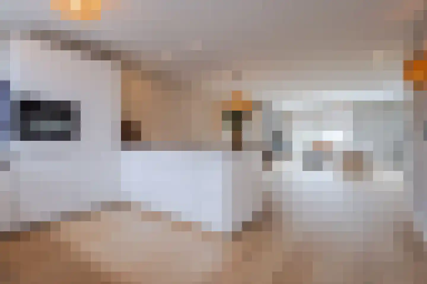 Gele Lis 11 Cuijk thumbnail 14