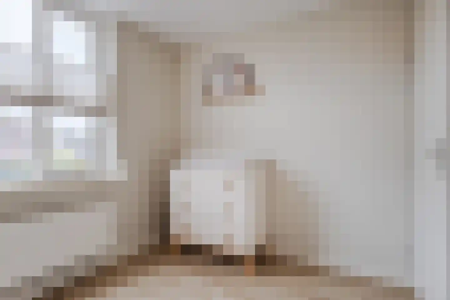 Gele Lis 11 Cuijk thumbnail 18
