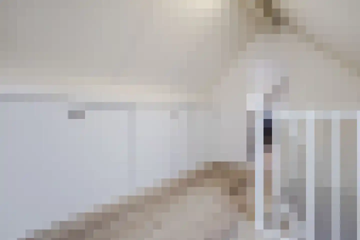 Gele Lis 11 Cuijk thumbnail 27
