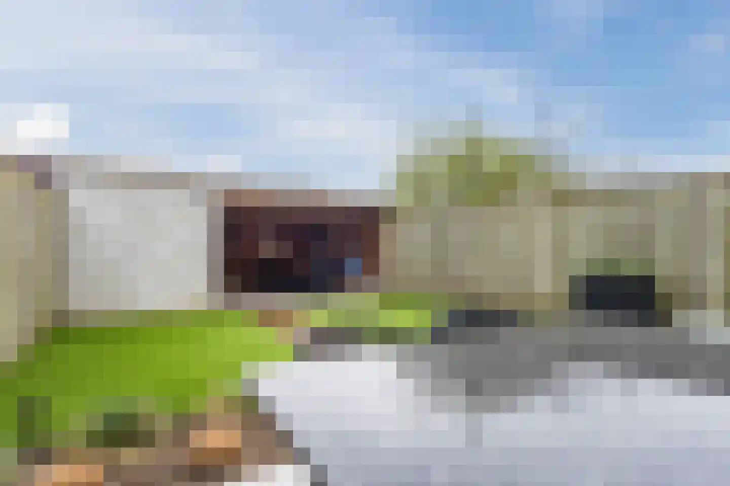 Gele Lis 11 Cuijk thumbnail 29