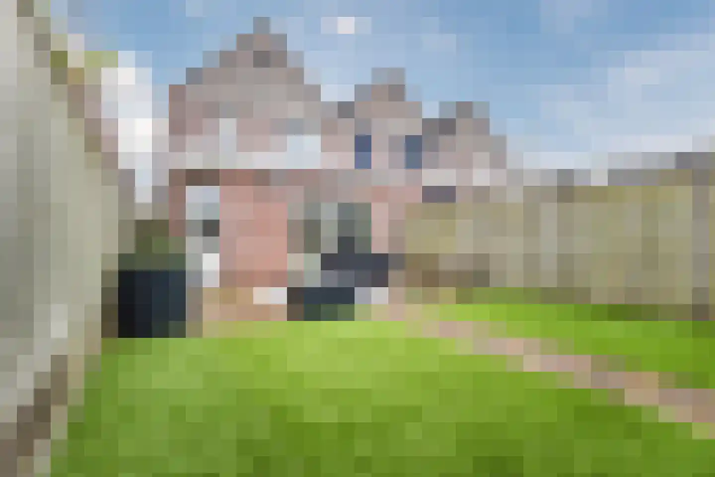 Gele Lis 11 Cuijk thumbnail 30