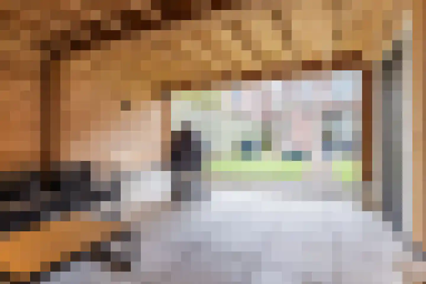 Gele Lis 11 Cuijk thumbnail 32