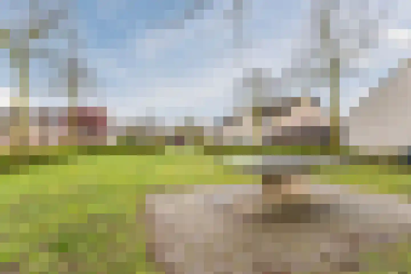 Gele Lis 11 Cuijk thumbnail 36