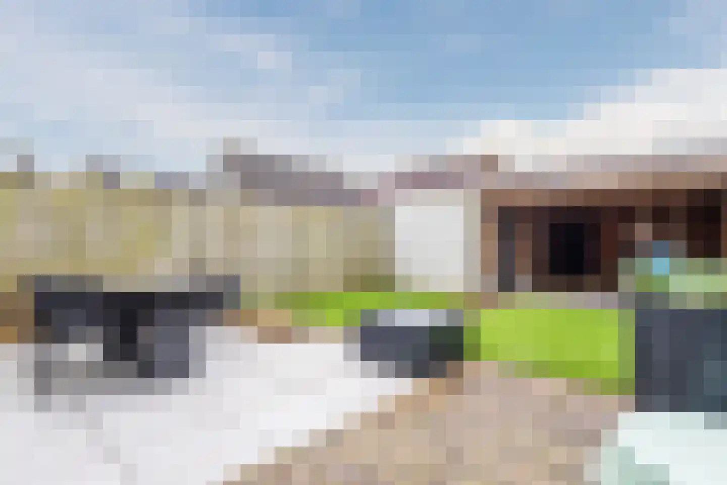 Gele Lis 11 Cuijk thumbnail 4
