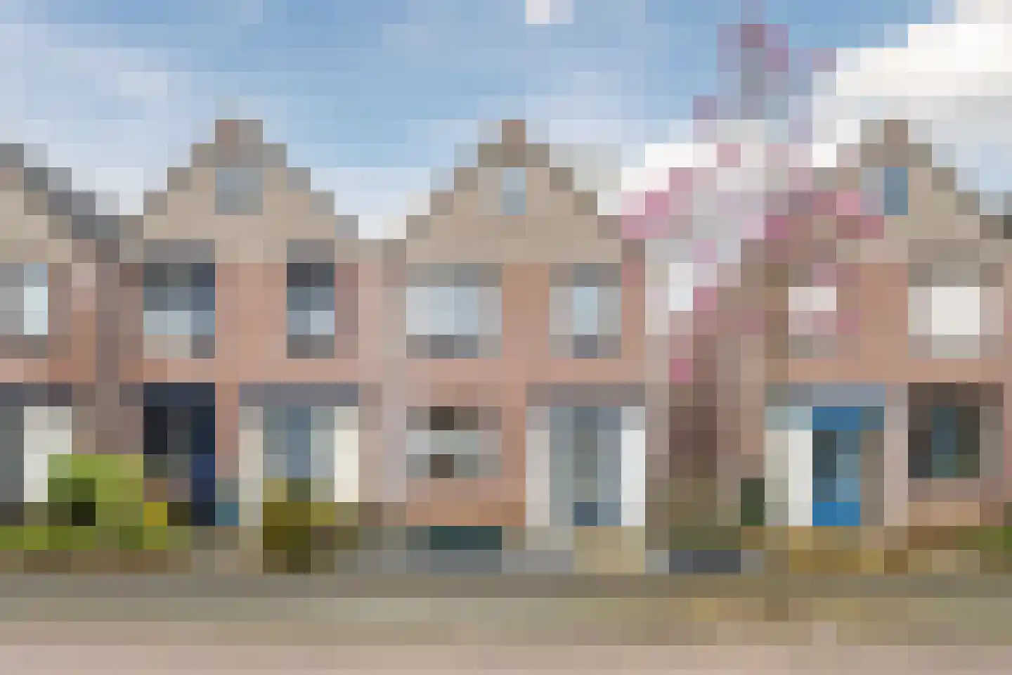 Gele Lis 11 Cuijk thumbnail 5
