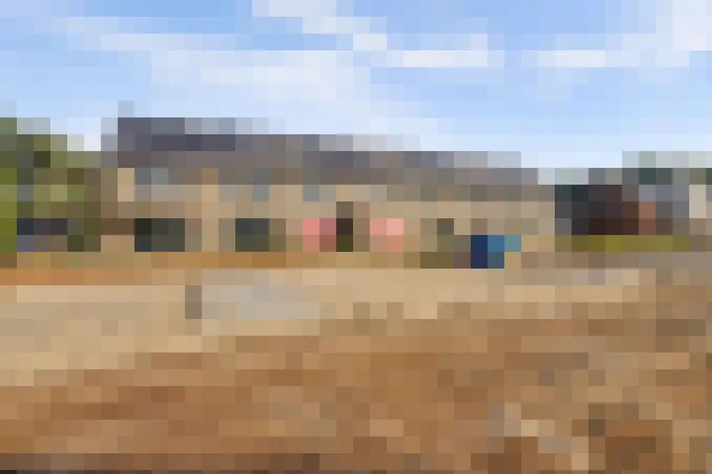 Gele lis 12 Almelo thumbnail 20