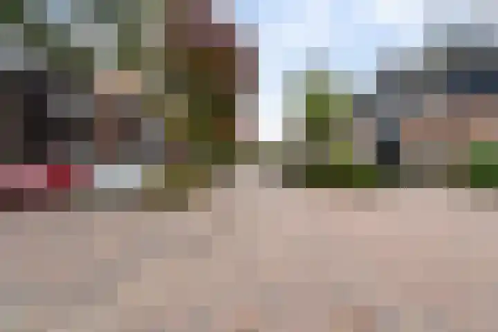 Gele Lis 156 Den Haag thumbnail 11