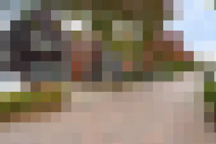 Gele Lis 156 Den Haag thumbnail 13