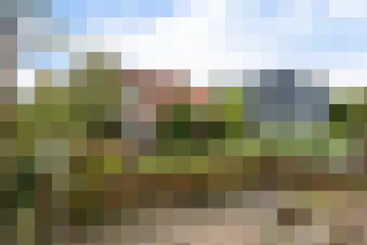 Gele Lis 156 Den Haag thumbnail 29