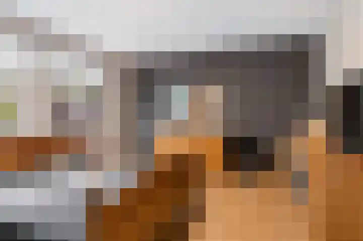 Gele Lis 156 Den Haag thumbnail 36