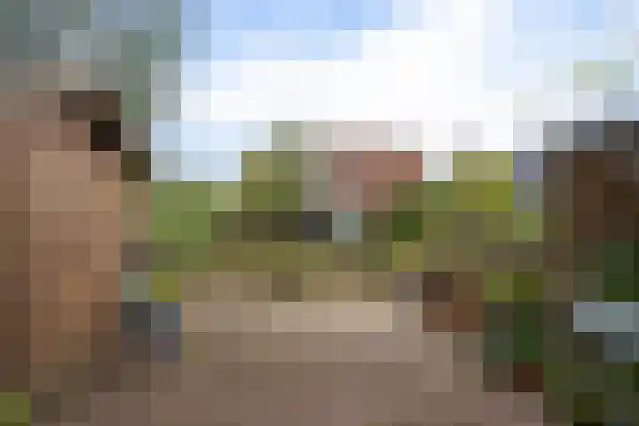Gele Lis 156 Den Haag thumbnail 4