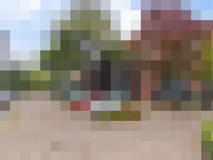 Gele Lis 156 Den Haag thumbnail 5