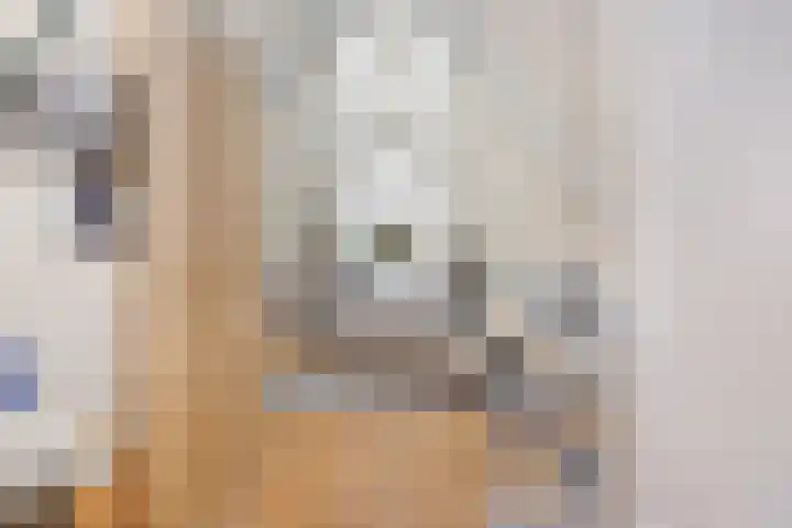 Gele Lis 156 Den Haag thumbnail 52