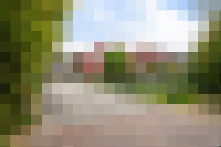 Gele Lis 156 Den Haag thumbnail 7