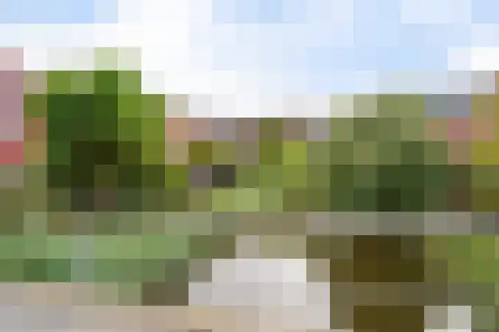 Gele Lis 156 Den Haag thumbnail 8