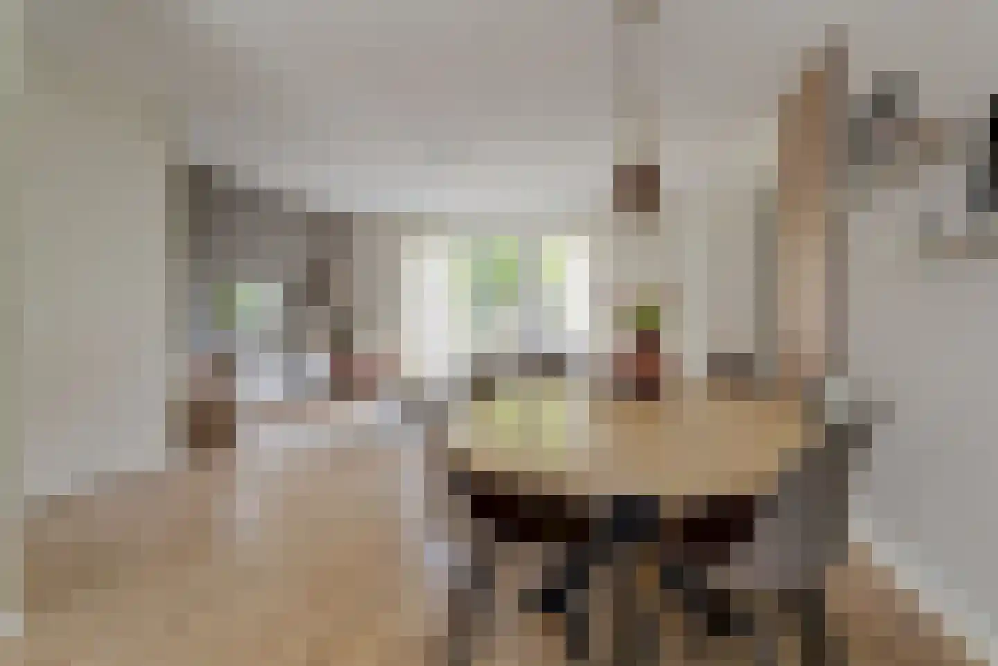 Gele Lis 23 Elst thumbnail 11