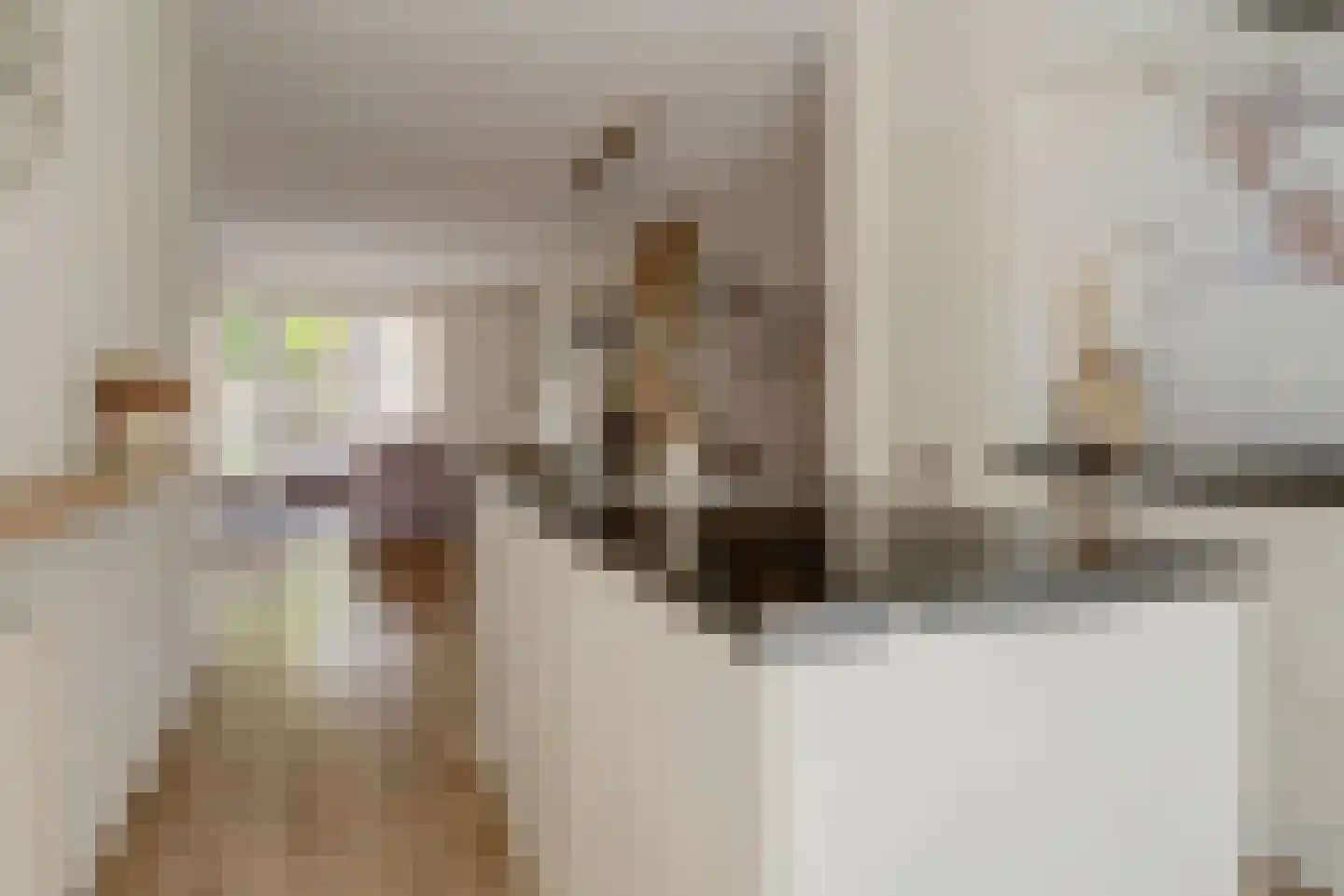 Gele Lis 23 Elst thumbnail 16